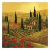 Poppies of Toscano II
