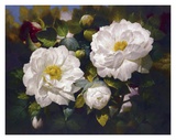 Full Blossom I