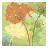 Buy Poppy Shadows at AllPosters.com