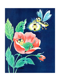 Sleeping Firefly - Jack and Jill, August 1959