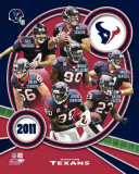 Houston Texans 2011 Team Composite