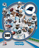 Carolina Panthers 2011 Team Composite