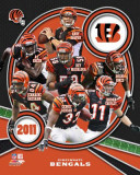 Cincinnati Bengals 2011 Team Composite