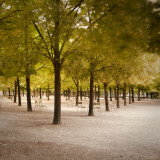 Jardin Du Luxembourg, Latin Quarter, Paris, France