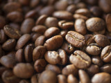 Colombia, Caldas, Manizales, Colombian Coffee Beans