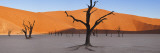 Dead Trees in Dried Clay Pan, Namib Naukluft National Park, Namibia