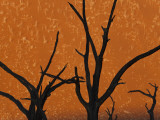 Dead Trees in Dry Clay Pan, Dead Vlei, Soussusvlei, Namibia, Africa