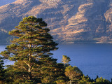 Buy Loch Torridon, Wester Ross, Scotland at AllPosters.com