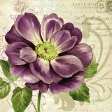 Buy Study in Purple I at AllPosters.com