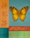 Buy Colorful Wings II at AllPosters.com