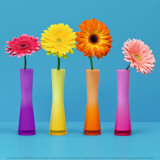 Four Flowers and Blue Background