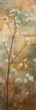 Buy Misty Woods II at AllPosters.com