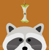 Buy Peek-a-Boo Raccoon at AllPosters.com