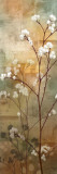 Buy Misty Woods I at AllPosters.com