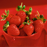 Buy Strawberries at AllPosters.com