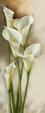 Callas Gracieux I