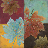 Colorful Maples I