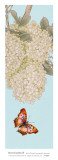 Buy Secret Garden II at AllPosters.com
