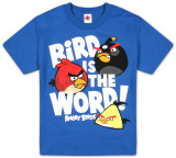 Buy Youth: Angry Birds - Bird Word at AllPosters.com