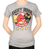 Buy Juniors: Angry Birds - Official at AllPosters.com