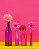 Pop Flowers