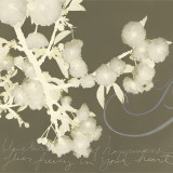 Buy Wishes and Leaves II at AllPosters.com