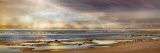 Buy Tidal Pool at AllPosters.com