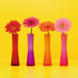 Buy Four Flowers and Yellow Background at AllPosters.com