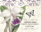 Jardin Botanique I