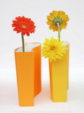 Buy Yellow and Red at AllPosters.com