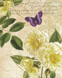 Buy Golden Roses at AllPosters.com