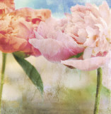 Buy Monsieur Jules Elie at AllPosters.com