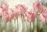 Buy Nature Inspired I at AllPosters.com
