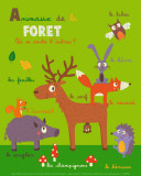 Forest Animals
