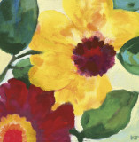 Anemone Garden I