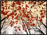 Bare Branches and Red Maple Leaves Growing Alongside the Highway