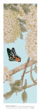 Buy Secret Garden I at AllPosters.com