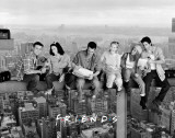 Friends - Over New York