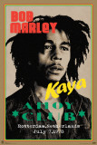 Bob Marley - Ahoy Club Concert