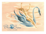 Blue Swan Lingerie Advertisement