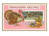 Greetings, Turkey and Cabin