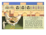 Buy Handy Transparent Hen Model at AllPosters.com