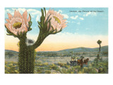 Buy Blooming Cactus at AllPosters.com