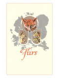Furs: Fox, Lynx, Mountain Lion