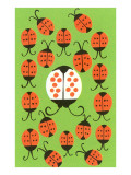 Ladybugs