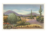 Gila Monster and Cacti