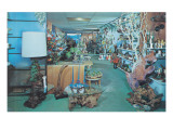 Buy Showroom of Burl Products at AllPosters.com