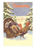 Turkeys in the Snow