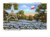 State Capitol, Austin, Texas, Blue Bonnets