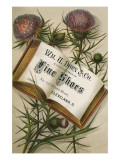 Thistles and Fine Shoes